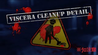 【VCD】設定やり直したからテストしてみる【Viscera Cleanup Detail】