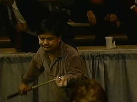 9-Ball - KIM DAVENPORT vs JOSE PARICA - 1991 Rak'M Up Classic