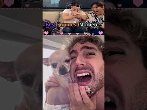 This is so funny, l couldn't stop laughing #funny #doddlersoftiktok #funnyvideos #duet #foryou 14
