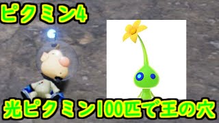 ピクミン4 王の穴をヒカリピクミンほぼ100匹で攻略してみた 帰還なしアイテム未使用(6階は例外)