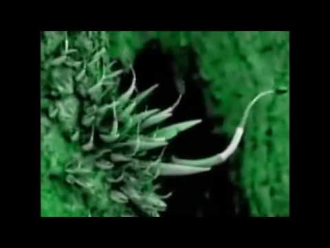 Bassnectar & ill.Gates - Expanded