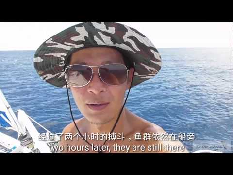 Sailing Admirer Season 2 ep 6 - Crossing South China Sea