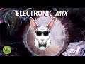Upbeat Study Music Deep Focus Techno Mix  (Rabbit) - Isochronic Tones