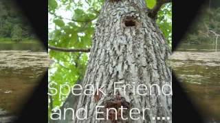 Full Moon Reiki Retreat August 2011