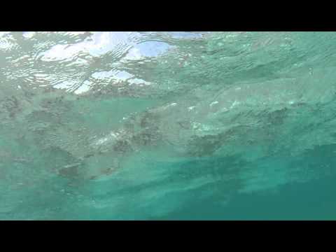 Tuvalu Funafuti conservation area Snorkelling Tepuka island, Gopro