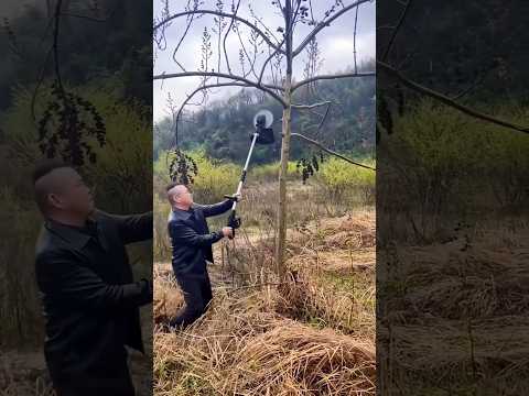 #shorts #agriculture #farming2024 #satisfying #machine #shot #EliteShortsUnleashed #4895