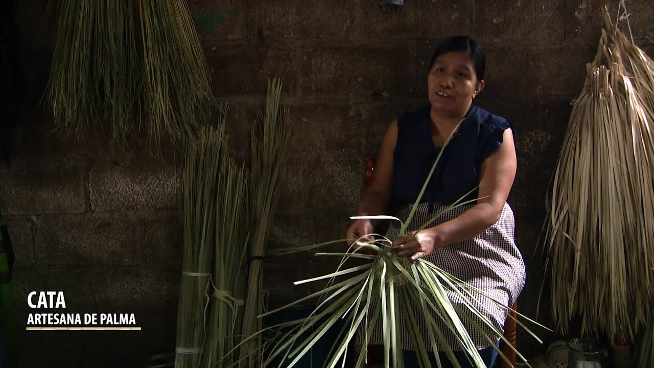 Watch Artesanos de Guerrero, trabajan con la palma Now Artesanos de Guerrero, trabajan con la palma