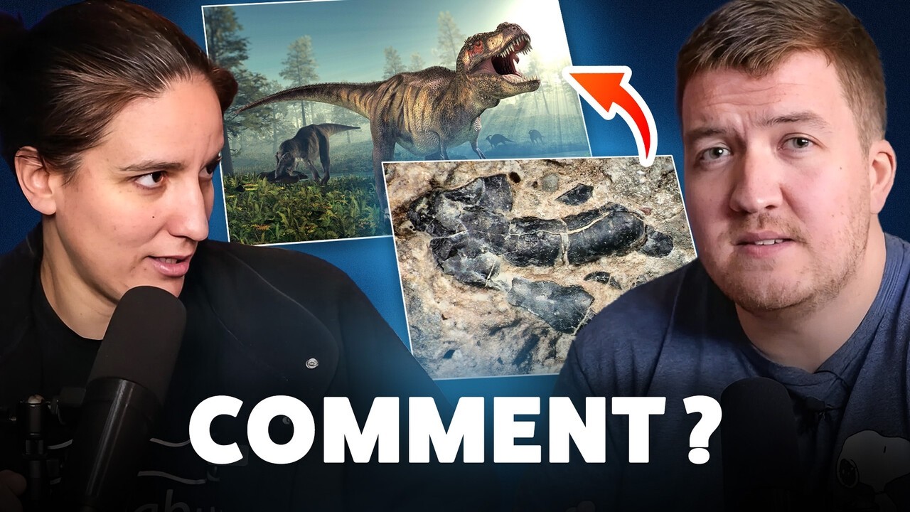 On vient de trouver comment les dinosaures ont dominé le monde (💩💩💩 !) : ACTUS février 2025