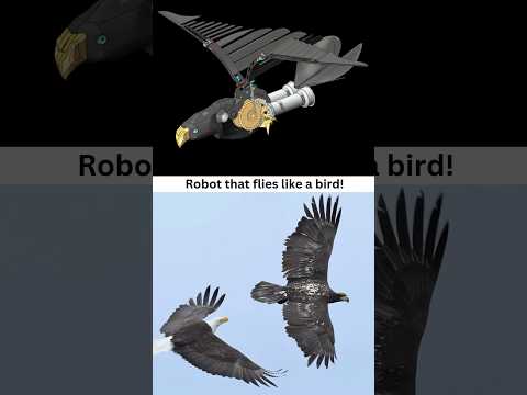 Robotic Bird 🦅 Flying Eagle 👍✅ #caddesign #birds #robotics #flyingeagle #3ddesign #solidworks #cad