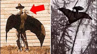 8 Real Life Sightings & Encounters With Prehistoric Creatures