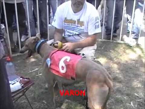 NACHO - Monte Buey 12-10-2014  www.soygalguero.com