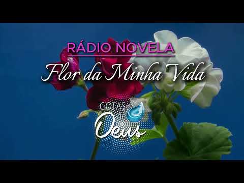 Flor de Minha Vida - RÁDIO NOVELA ESPÍRITA