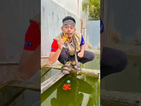 hewan laut mana yang akan tenggelam !