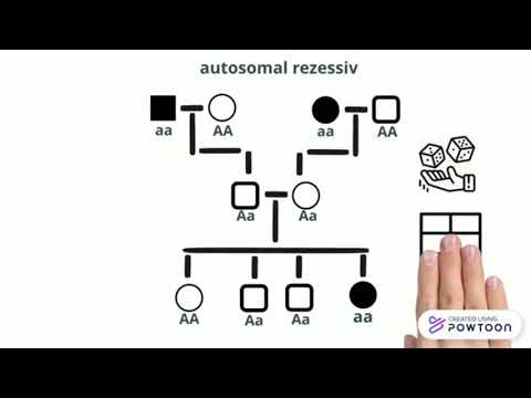 Stammbaumanalyse - Biologie