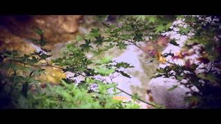 ECHOES FROM A JAPANESE GARDEN by Andrea Centazzo