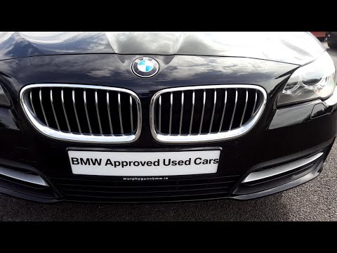 132D8198 - 132D8198 BMW 518d SE