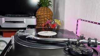 Chaka Khan - I'm Every Woman (LP Version) - Warner Bros - 1989 - 12" Record
