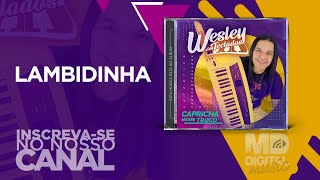Lambidinha Music Video