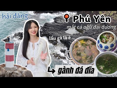KHÁM PHÁ PHÚ YÊN: GÀNH ĐÁ ĐĨA, HẢI ĐĂNG GÀNH ĐÈN - ĂN MẮT CÁ NGỪ ĐẠI DƯƠNG, LẨU GÀ | MIMI OFFICIAL