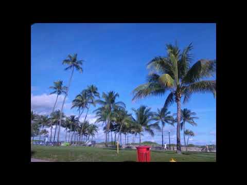 Las mejores fotos de la Florida- Miami