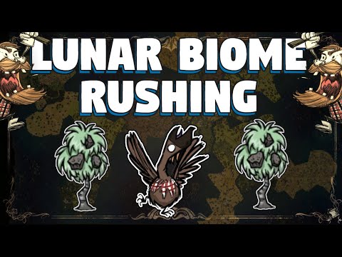 Rush Lunar Biome as Woodie in Don't Starve Together - How To Rush The Lunar Biome in DST