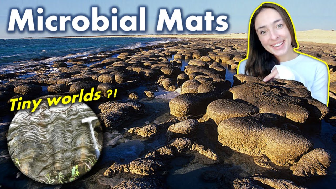 What was the first Olympics after World War II? Tipseri