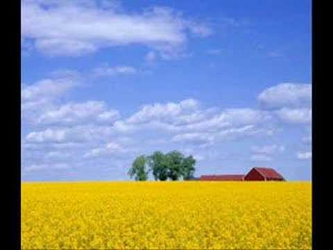 Om himlen och Österlen - Danne Stråhed