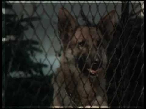 Neues aus Uhlenbusch  - Folge 35 und 36 HD ◕✿ 2016