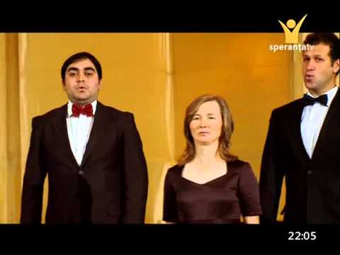 Grup coral Akord - Steaua Sa