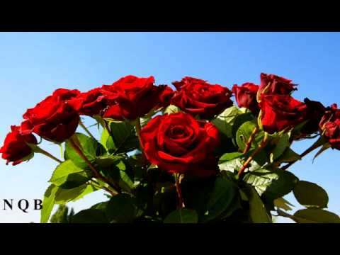 New Pashto Song 2011 By Noor Mohammd kochi Sweet Attan song Sad Romantic SONG 2011-2012