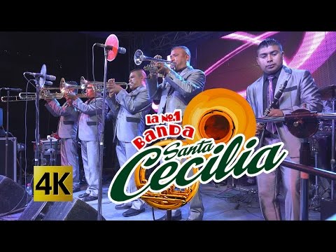 Banda Santa Cecilia - Que La Pase Bonito / Calidad 4K