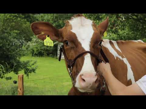 8 Athene DE 08 171 58470 Sigrid Metzler