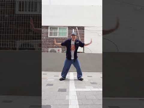 비디오 17