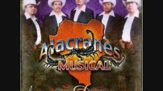 Alacranes Musical - Famoso Durango