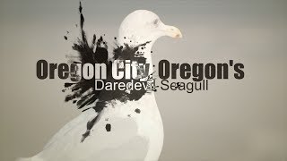 preview picture of video 'Daredevil Seagull—Oregon City, Oregon Nov. 23, 2013'