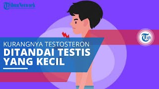 Sindrom Klinefelter, Penyakit Genetik yang Disebabkan oleh Kondisi Kromosom, Ditandai Testis Kecil