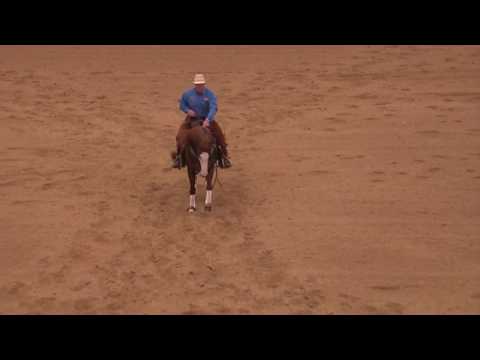 ARC Gunna Mark Ya ridden by Casey Deary - 2016 High Roller Reining Classic