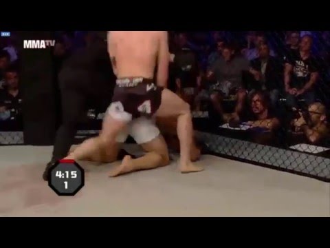 Emil Meek Beats The Brakes Off Rousimar Palhares