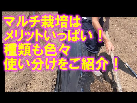 細断された樹皮マルチガーデン有機ゆっくり分解