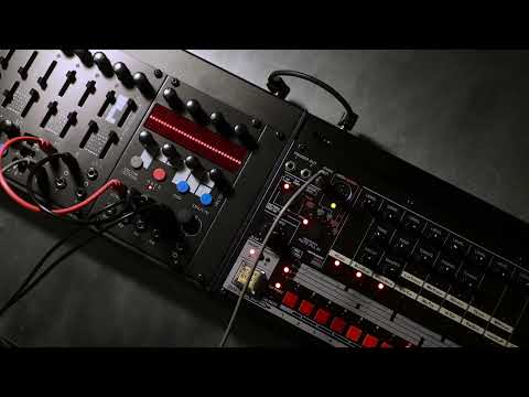 RYK Vector Wave Dub chords with System80 880