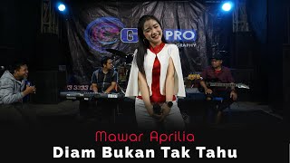 Download lagu Diam Bukan Tak Tahu - Mawar Aprilia / Dangdut Koplo Lawas mp3