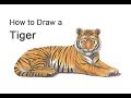 How to Draw a Tiger (Color)