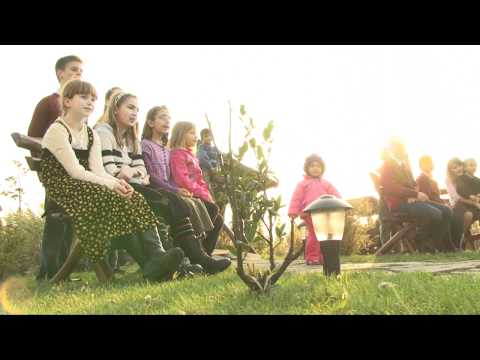 akord junior - flori si stele