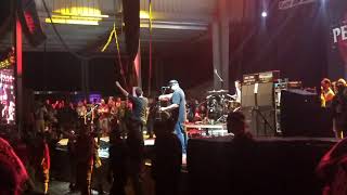 Punk In Drublic - Pennywise - Wild In The Streets Circle Jerks Cover