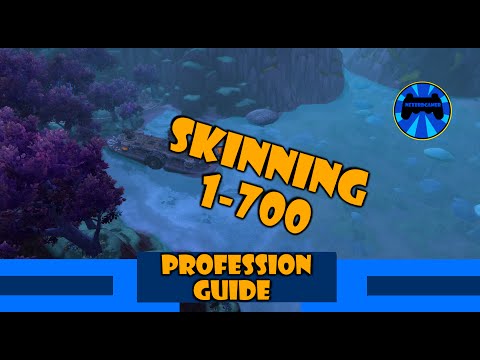 Skinning Guide : 1-700 [NERFED]