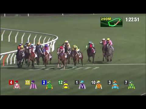 19/1/2022 (350) Total Power- J Moreira