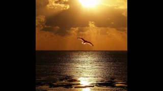 UN GRAN AMOR-------PALOMA SAN BASILIO