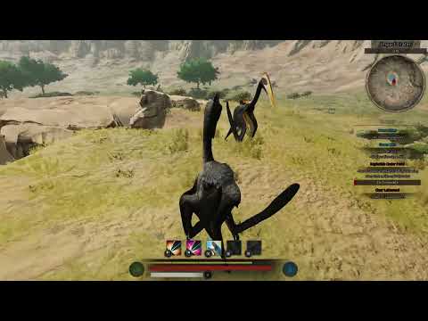 A small hatz vs hatz fight