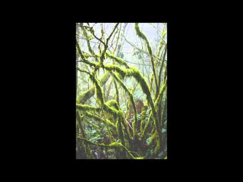 Propagul and Gnohm - Warm Moss
