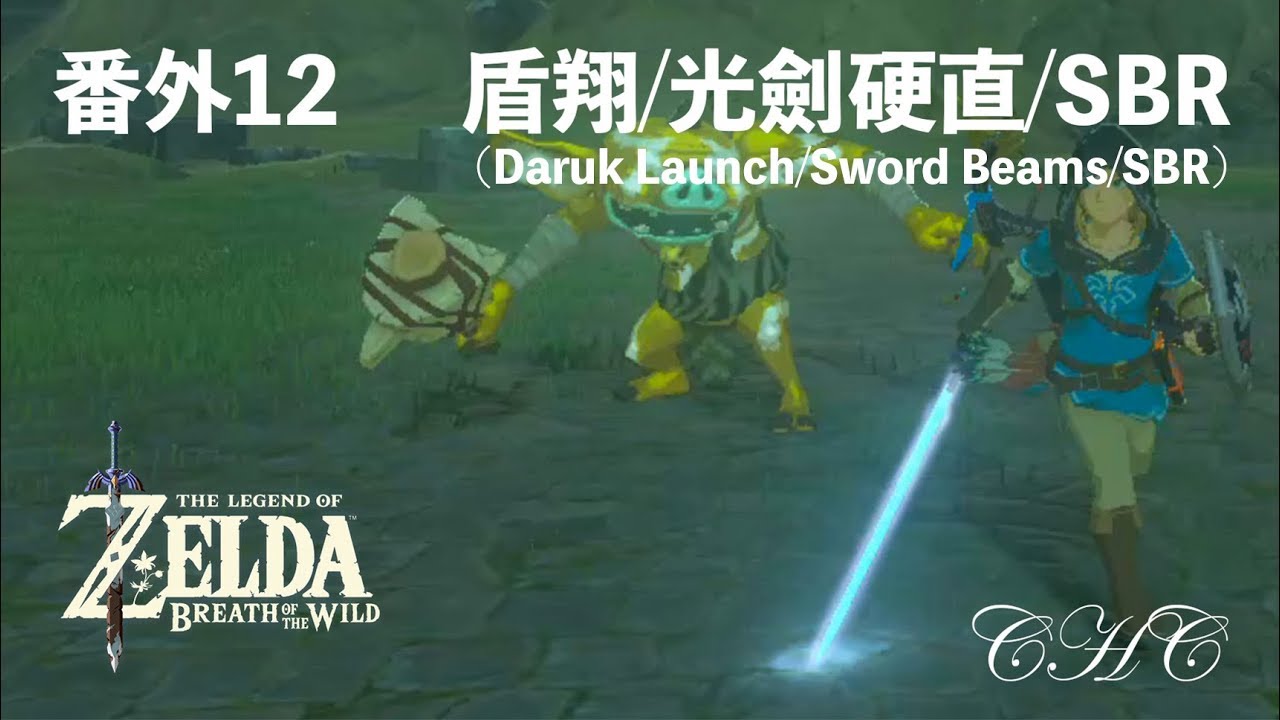 番外12 瞬盾翔(PDPL)／光劍硬直取消／盾擋重置(SBR)應用（示範短片）